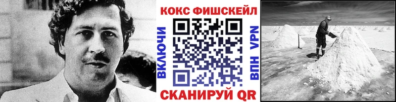 mega   Приморск  Кокаин Эквадор 