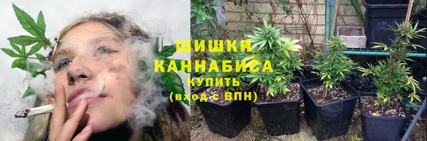 бутират Арсеньев