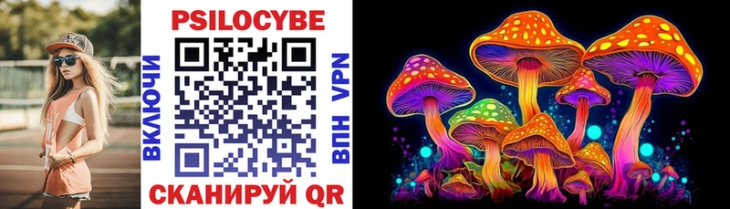 Псилоцибиновые грибы Cubensis  блэк спрут как зайти  Приморск 